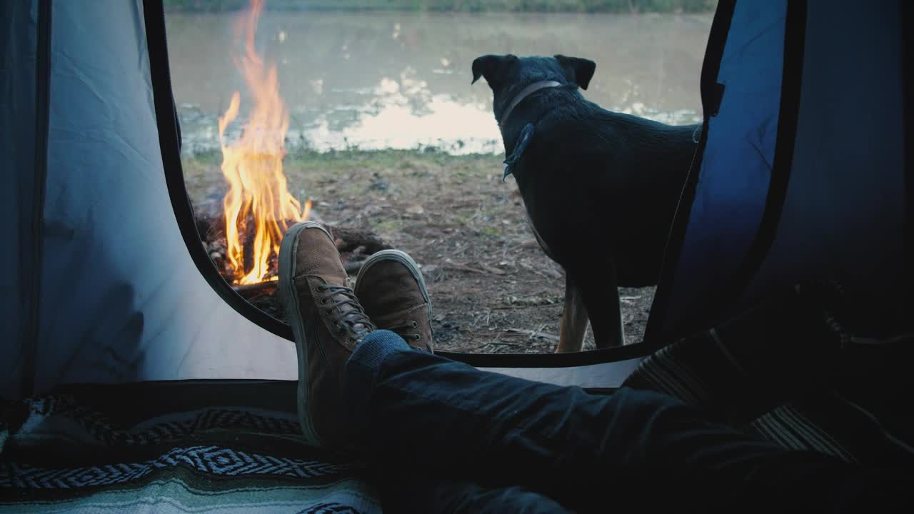 Person inside a tent with dog