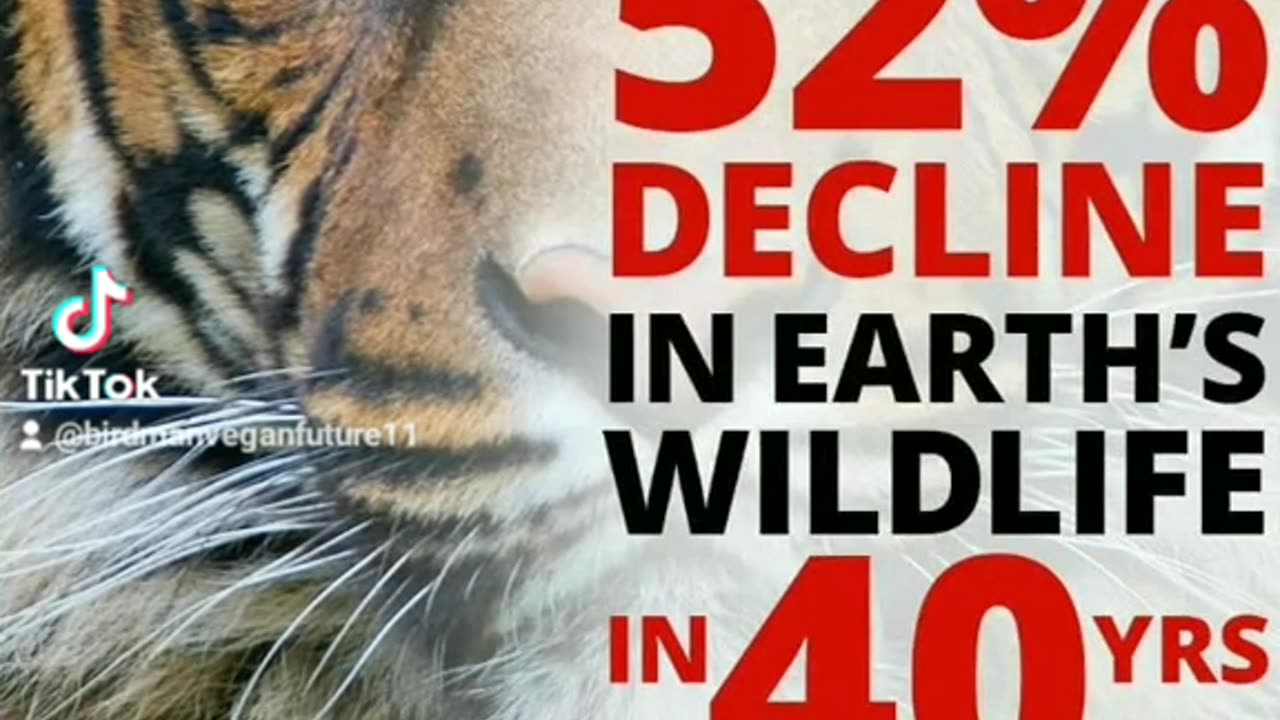 Stop Destroying GODS Creations 🌎🐣 Wildlife VEGAN Not Devil to Animals Abuse Kill as Jesus Pray