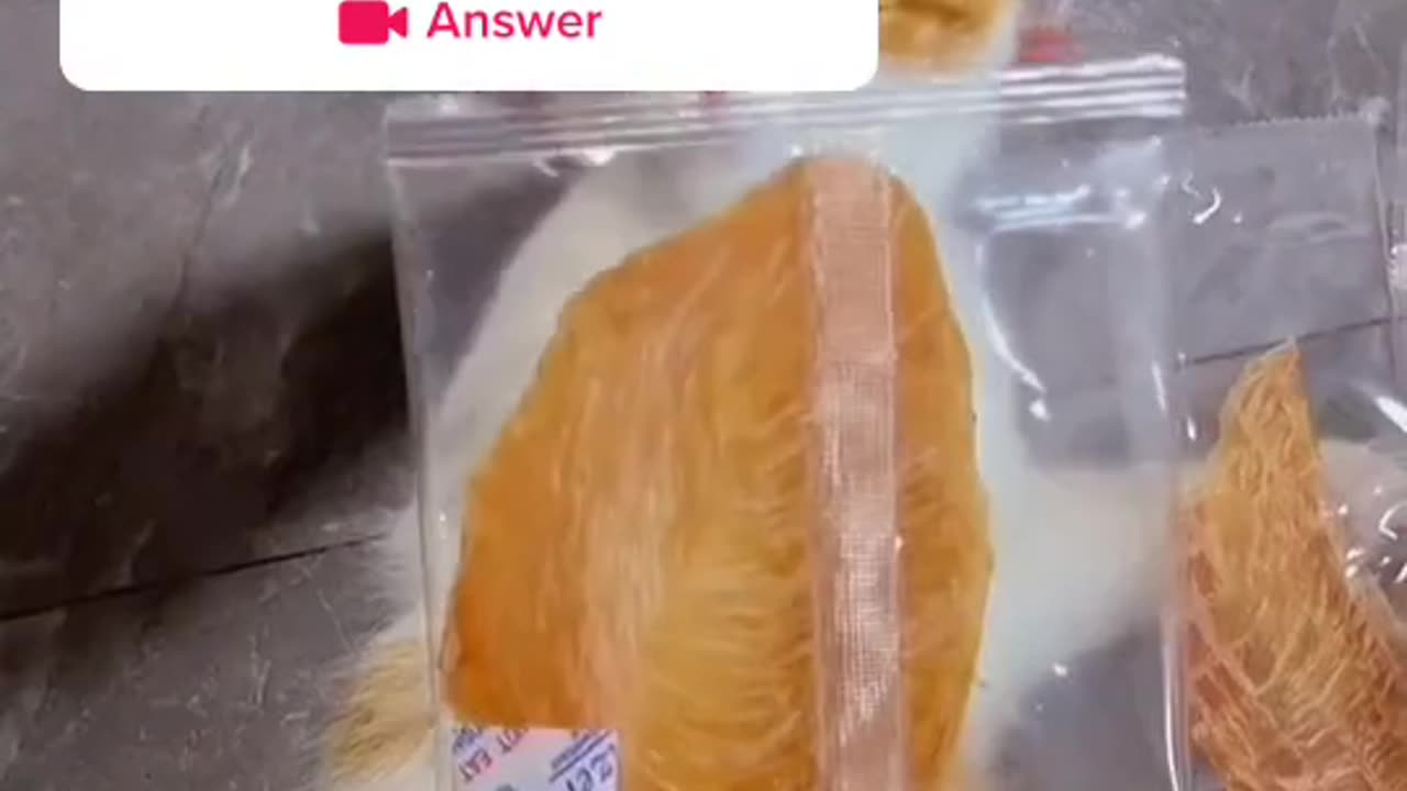 #answer to @AskTikTok Do you want a cat#cat #fyp #catsoftiktok #cats