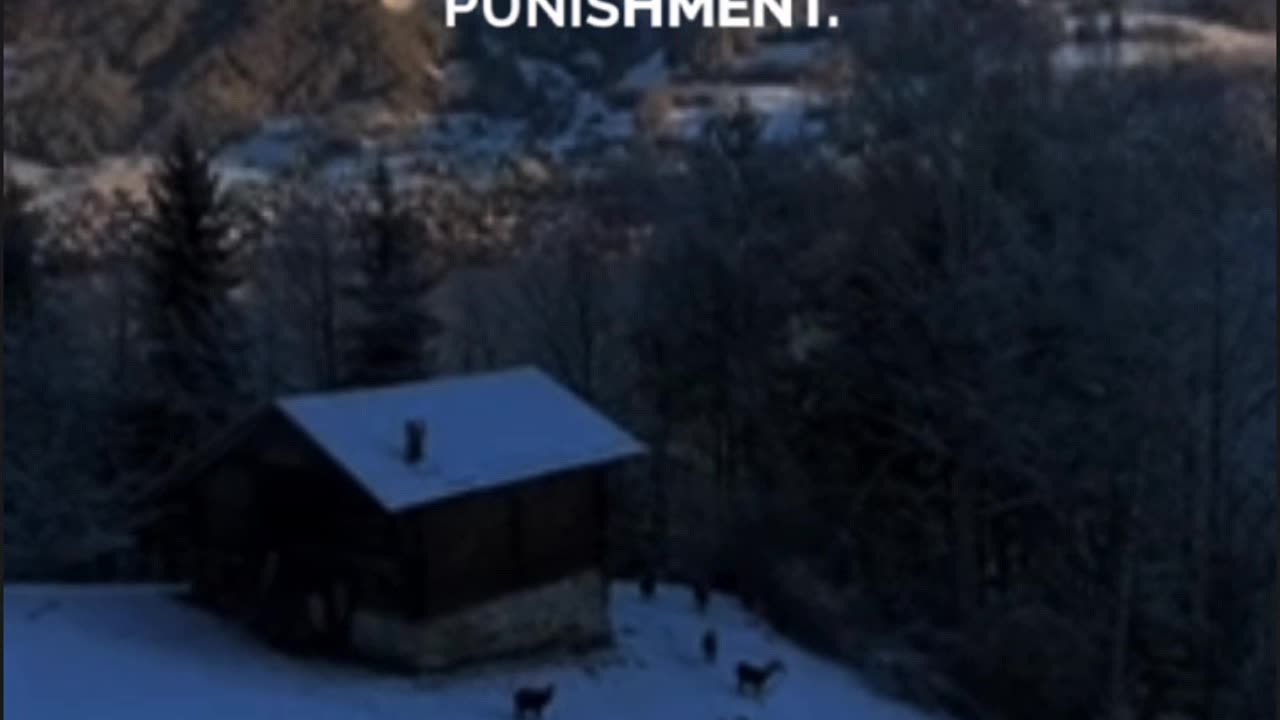 القرآن الکریم