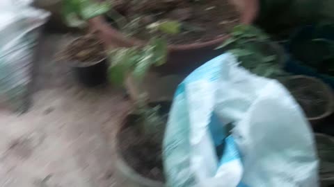 Just to say that we have a problem and