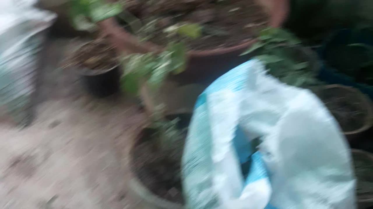 Just to say that we have a problem and