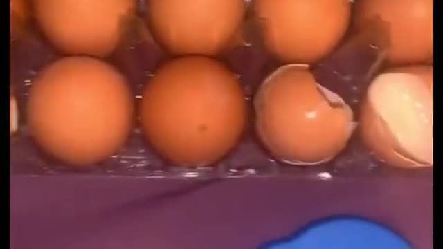 Eggs from Walmart.