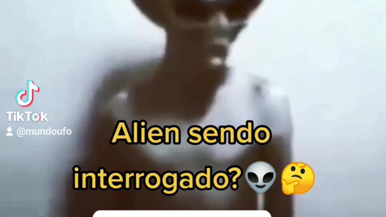 Real ou Fake? 🤔😱👽