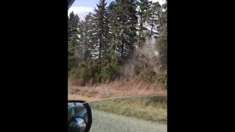 Dufferin County, Ontario