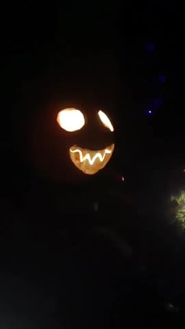 Part 2. W/O Watermark. Hector Tells A Joke.