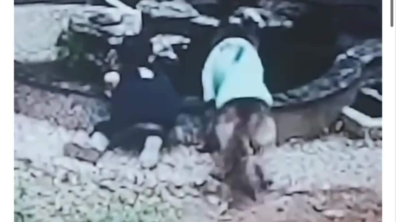 Smart doG.