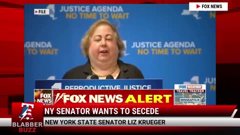 NY Senator Wants To Secede