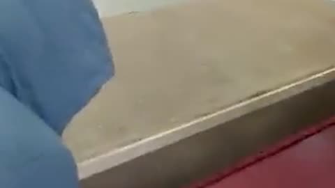 11 Russians Sent Home Via FEDEX