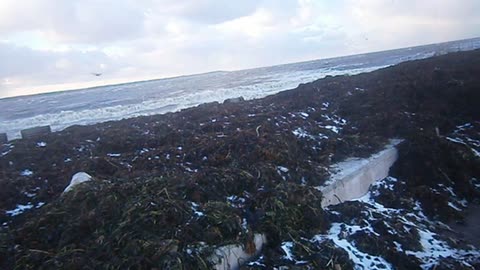 Stormen Svens härjningar. Helsingborg 7 Dec. 2013