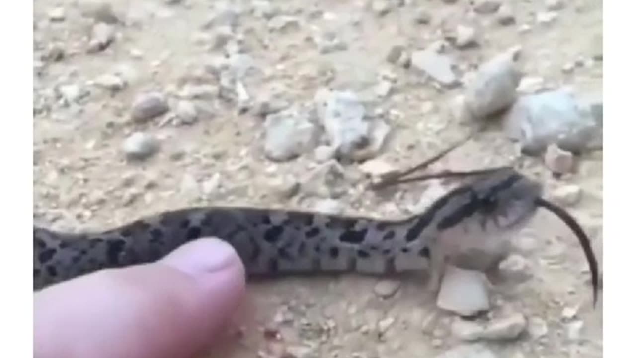 SNEAK IS HAPPY MUST WATCH ...,,