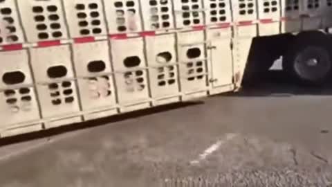 Protester Tries To Stop A Truck And Almost Gets Run Over Playing Dangerous Games