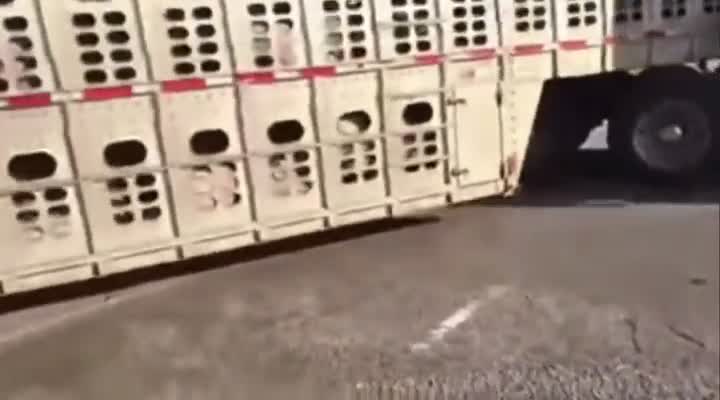 Protester Tries To Stop A Truck And Almost Gets Run Over Playing Dangerous Games