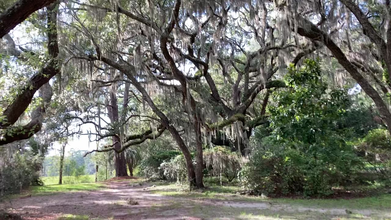 Charles Towne Landing State Historic Site (Charleston County, South Carolina) 1