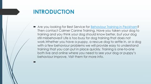 Get The Best Behaviour Training in Peckham.