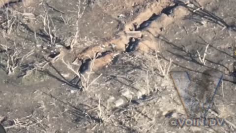 Direct hit on a Ukrainian trench