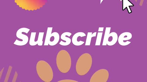 Funniest Fails Pets Video