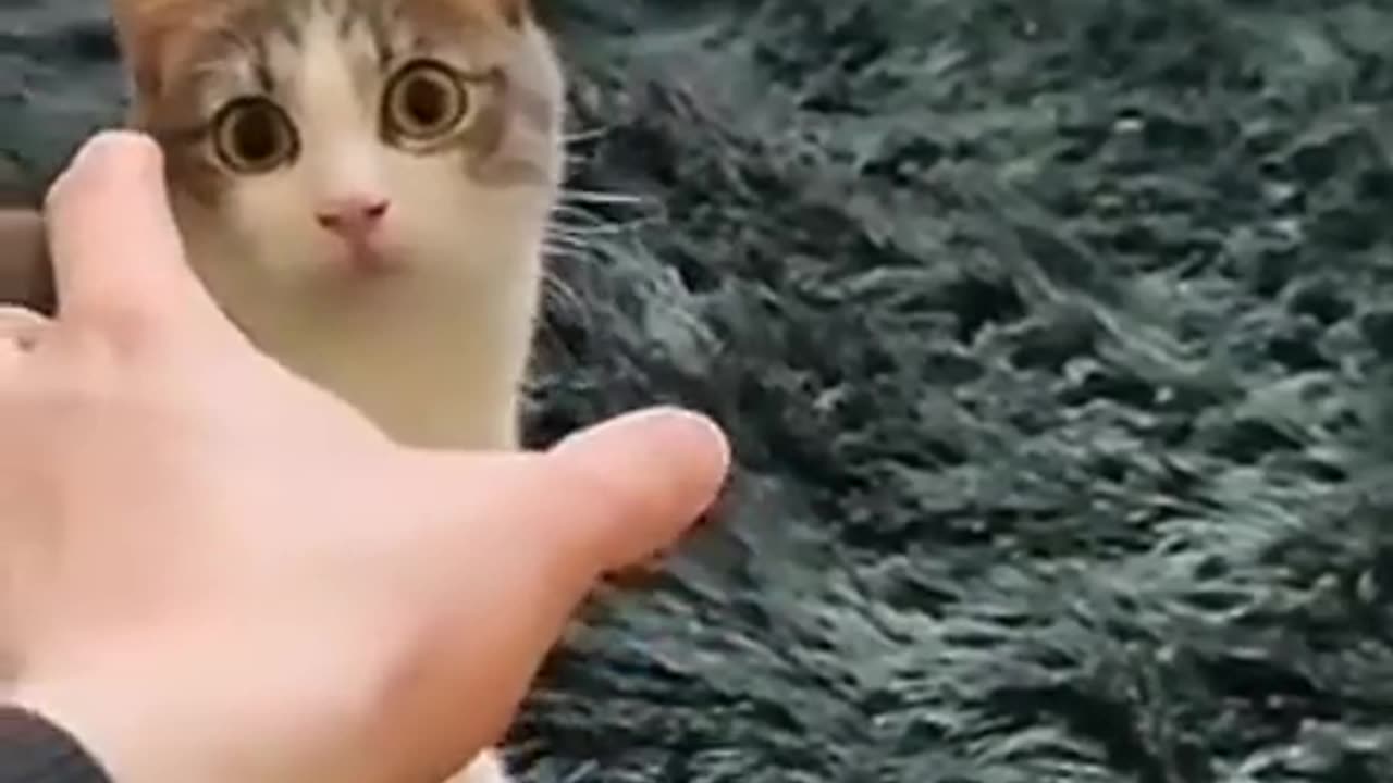 Please follow me for funny videos. #funnyvedio #funny