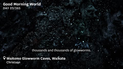 Good Morning World Day 23 of 365 - Glowworms, Waitomo