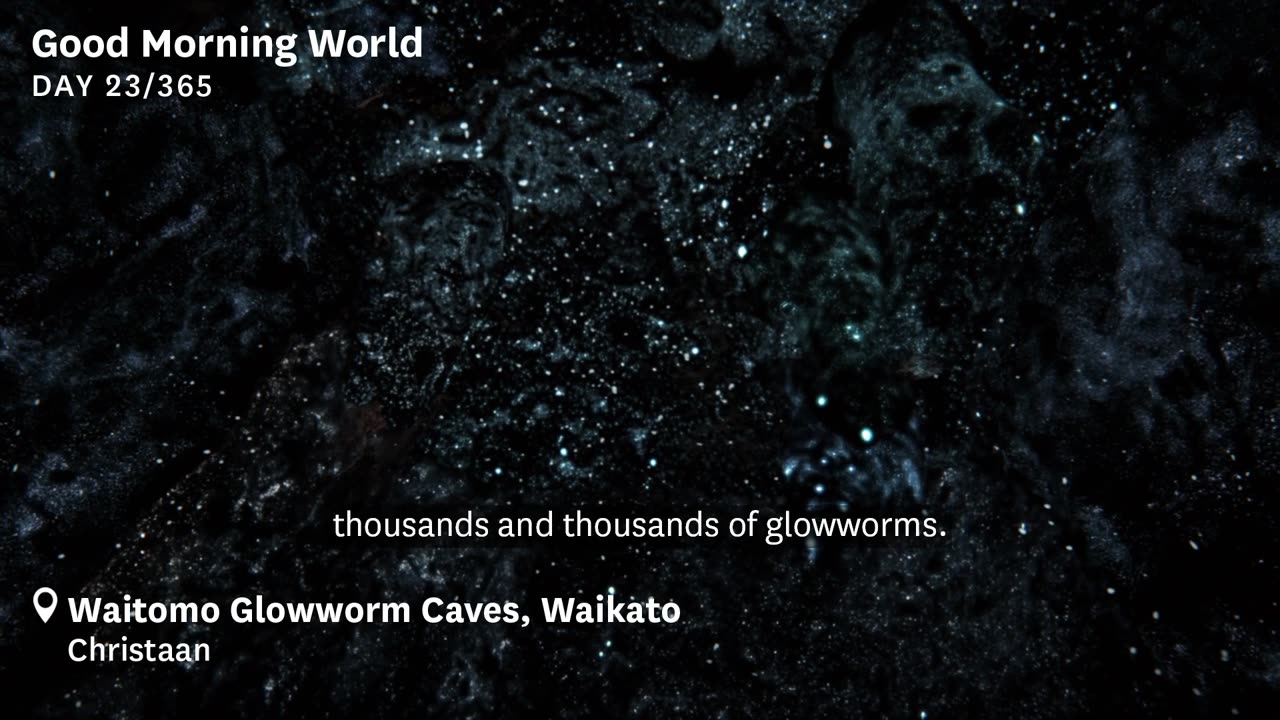 Good Morning World Day 23 of 365 - Glowworms, Waitomo