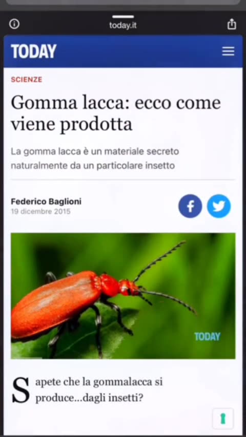 Sapevate cos'è la gommalacca? Noooo? Guardate questo video ..