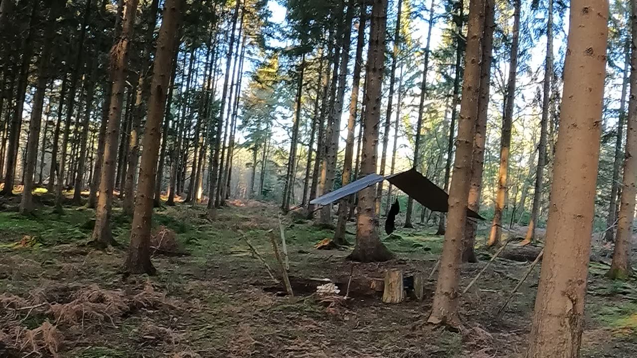 Tarp set up in the woods 21st Jan 2023