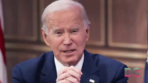 Biden pardons son on gun, tax charges