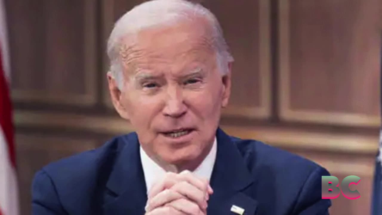 Biden pardons son on gun, tax charges