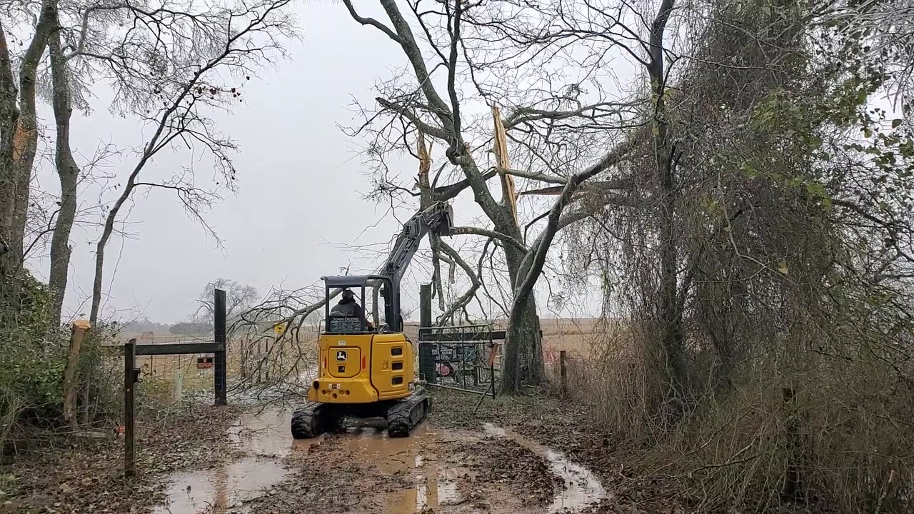 Taking down the Hackberry