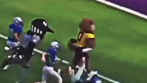 Mascots Playing Football