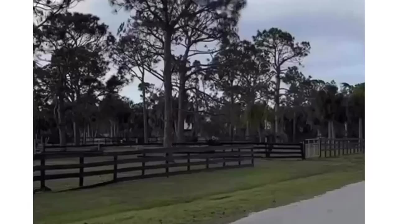 Crazy trick with car and bubble