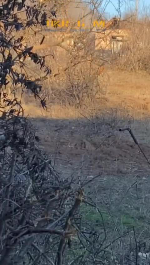 Ukrainians continue to occupy the houses of civilians