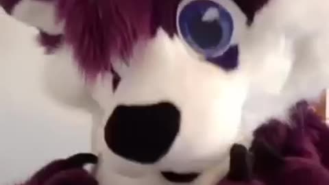 Never Kangaroo