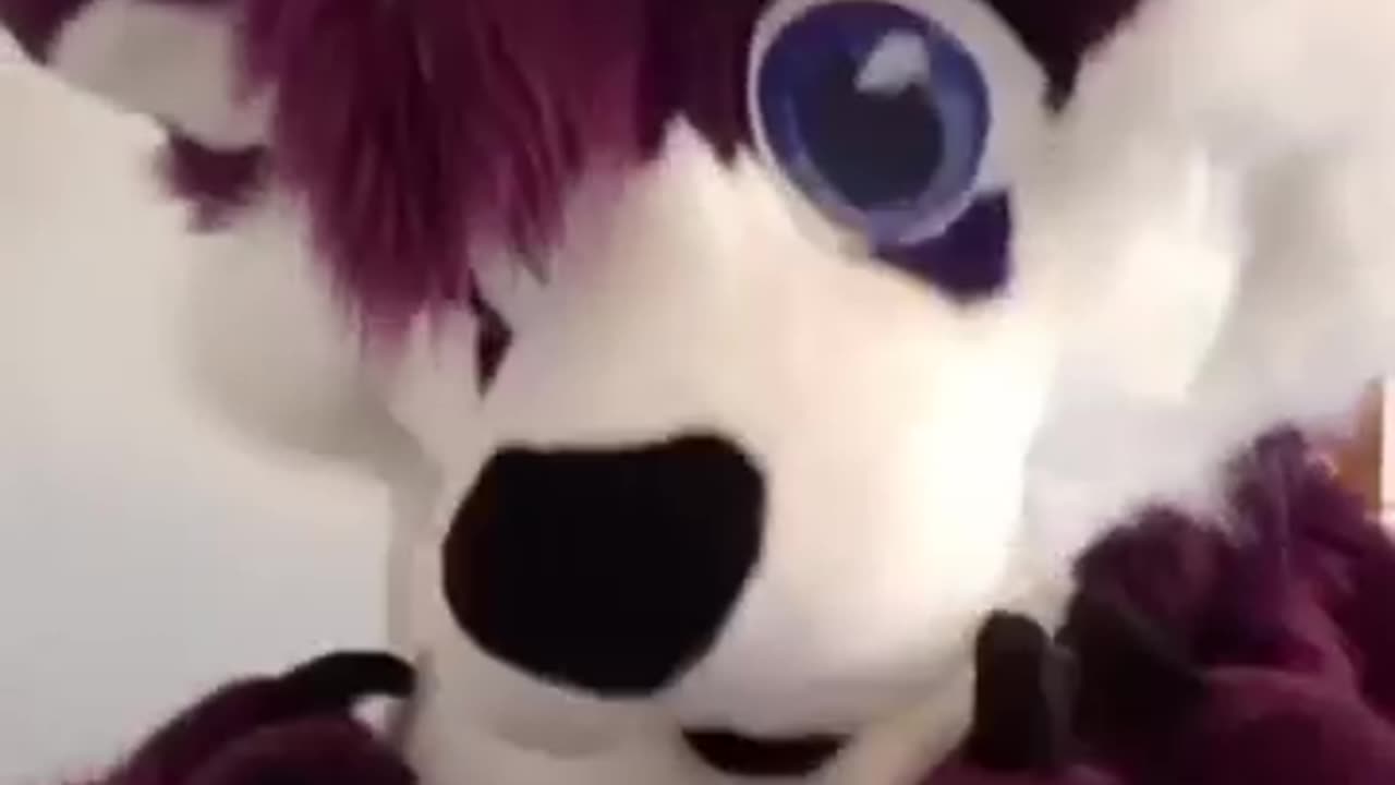 Never Kangaroo