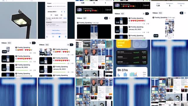 🎼🦁💔💔😔💔💔🦁🎼