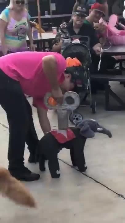 Gr liton best fun TV, Funny Video Clips # - 98