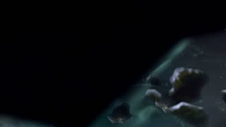 Halo CE - Mission 2 Terminal Location (With Cutscene)