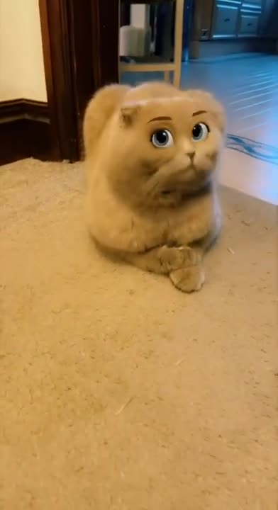 Disney filter on my cute Cat 😺