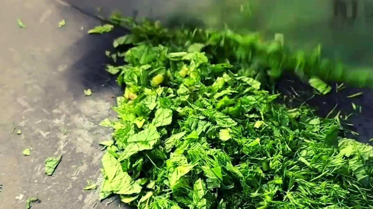 Refreshing Persian Cucumber Salad Recipe for a Burst of Flavor! 🌿"