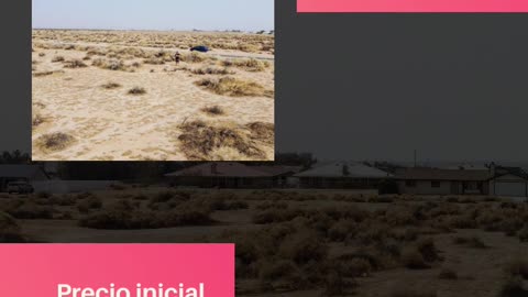 ❗ ¡No te lo pierdas! Venta de Liquidación de Año Nuevo ❗- Ancestry Lands