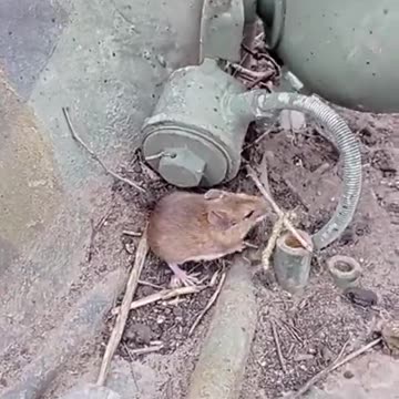 "Hitcher" somewhere in Ukraine