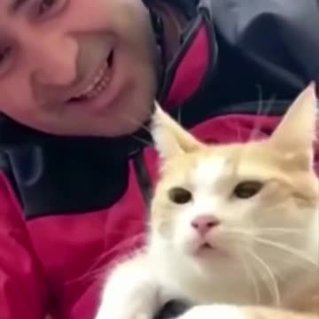 Cat named Strawberry rescued from earthquake rubble in Turkey #shorts