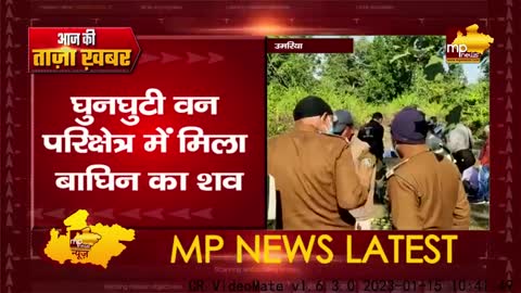 वन परिक्षेत्र में मिला बाघिन का शव, मौके पर पहुंचा वन अमला ! MP NEWS