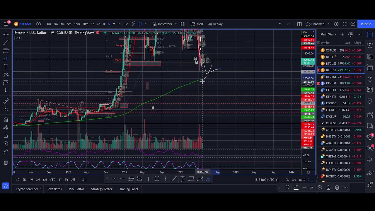 Elon Musk's bitcoin indicator is 100 percent accurate