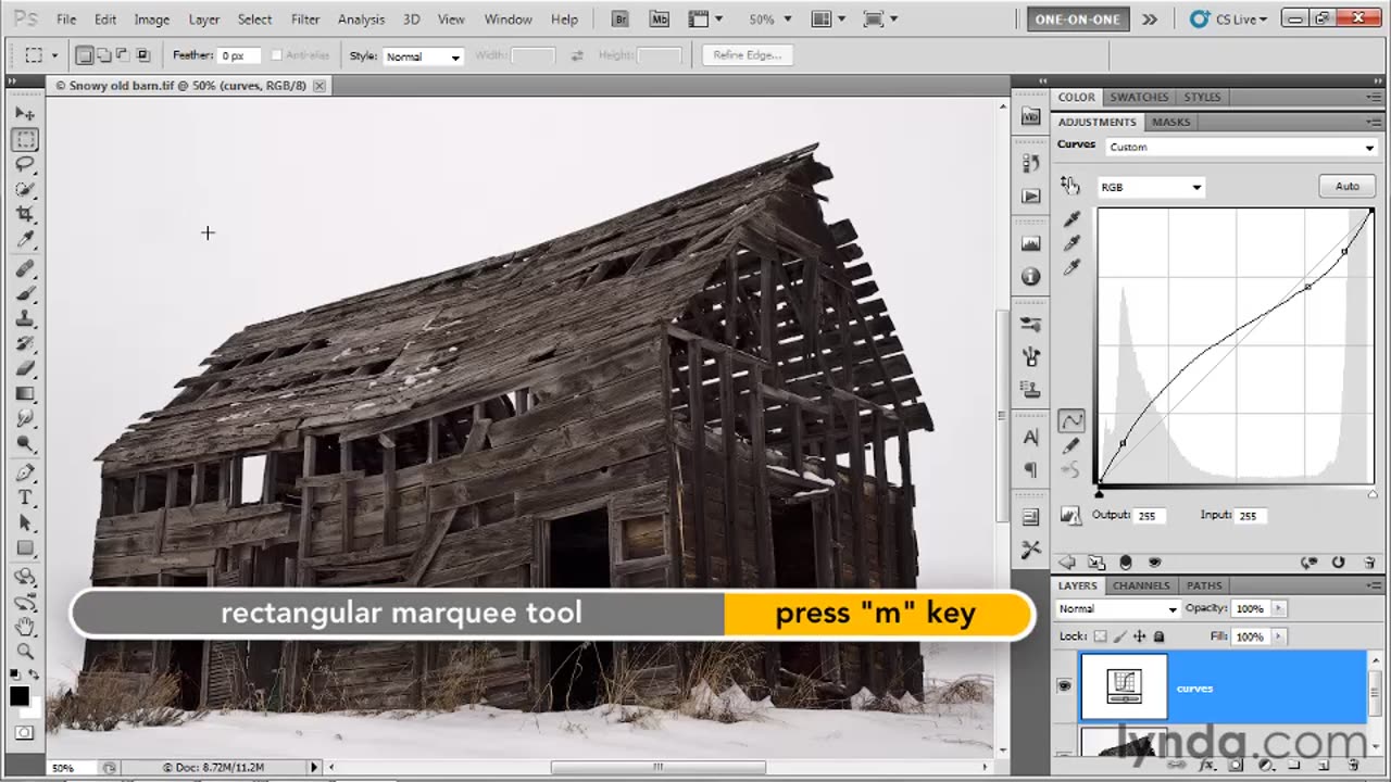 22 Correcting an image with Curves