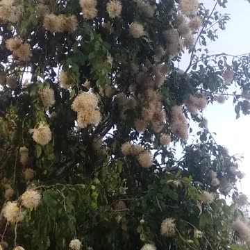 5.10.2024 Spring has Sprung