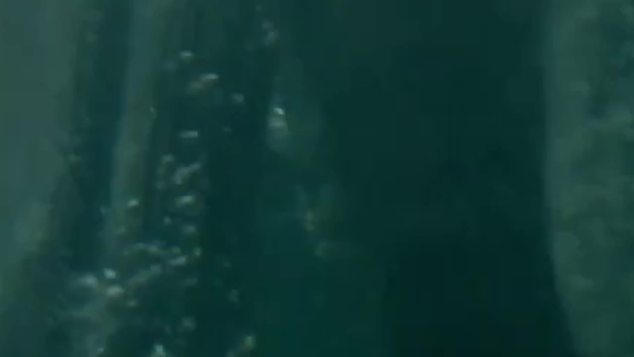 On a tiny island, dark secrets surface Watch Gozo now