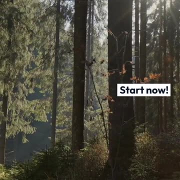 Take Action for Success