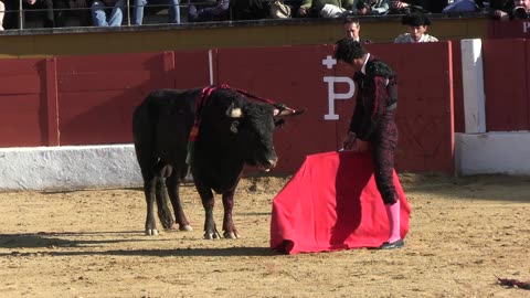 2024 04 27 SAN AGUSTÍN DE GUADALIX CORRIDA DESAFÍO