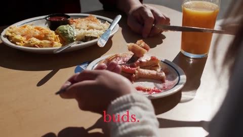 Healthy Food | Extravaganza | Eggs